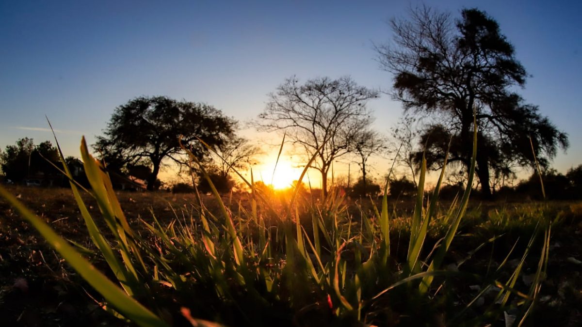 Predominio de ambiente caluroso y vientos moderados del norte