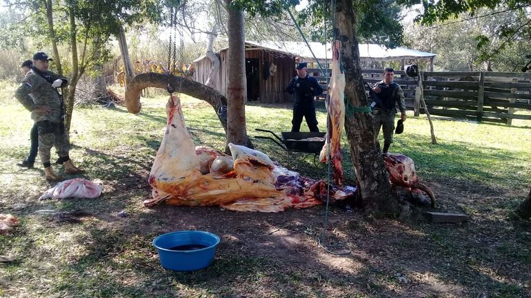 Aumentan los casos de abigeatos en Alto Paraná