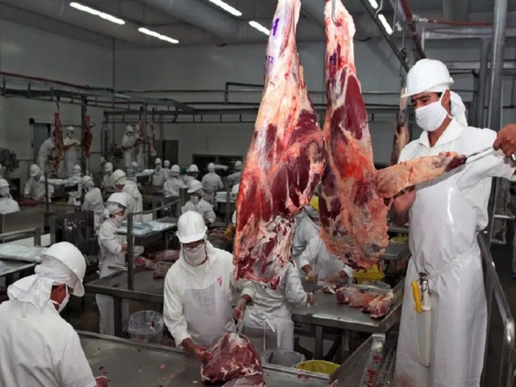 Chile prefiere la carne paraguaya y  aumentó el pago a sus proveedores