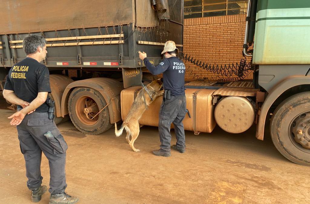 FRONTERA: Se desarticula esquema de tráfico internacional de drogas en la frontera