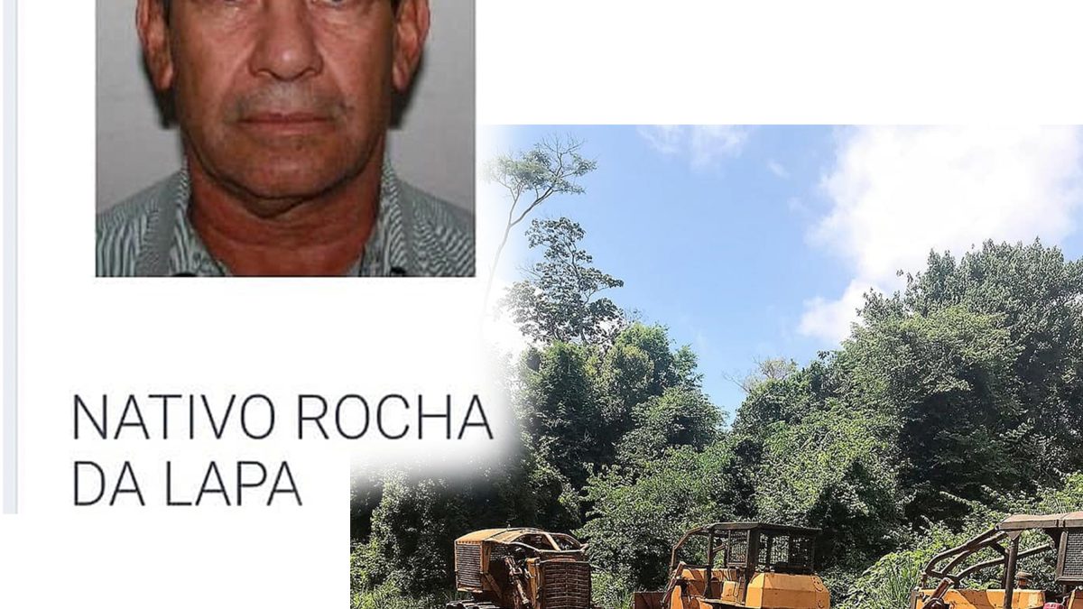 SUCESOS: Conocido depredador de bosques sigue operando impunemente