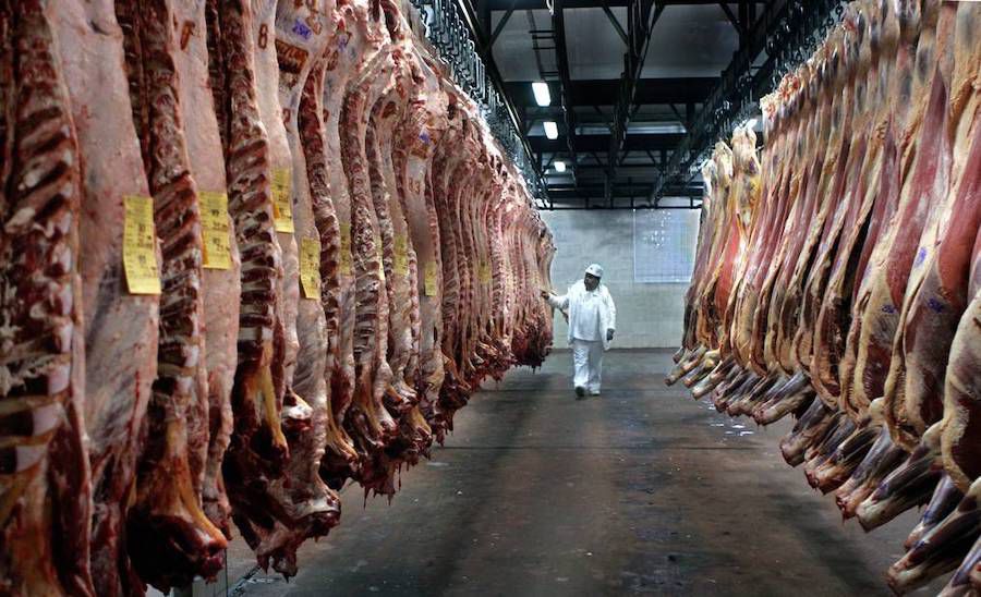ECONOMÍA: Multinacionales concentraron más del 65% de la faena de bovinos