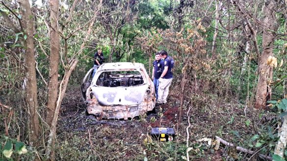 El Toyota Vitz, totalmente quemado en medio de la espesura.