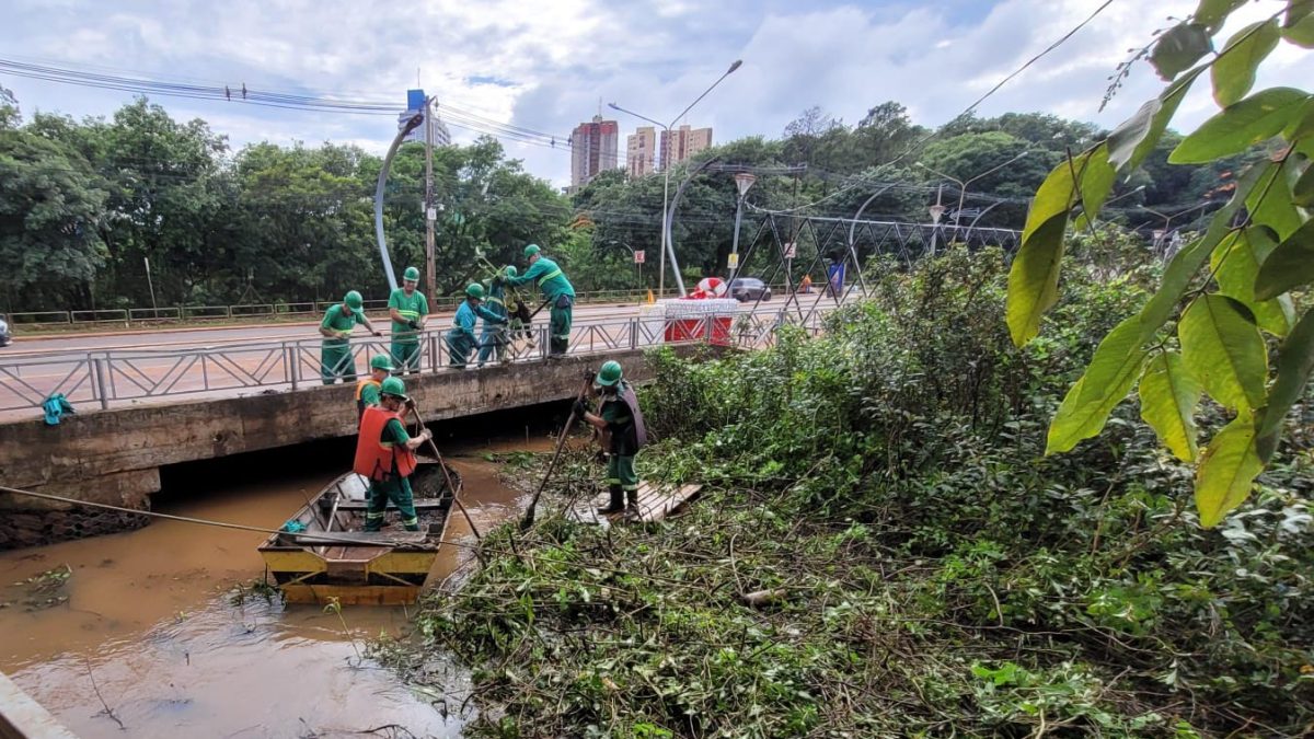 LOCALES: Retiran una gran cantidad de arbustos y camalotes del Lago de la República