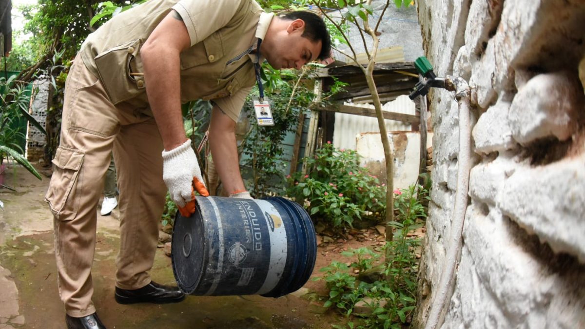 LOCALES: Pronostican que a finales de febrero se tendría el pico más alto de dengue en CDE